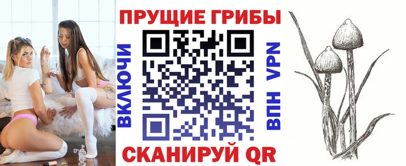 Псилоцибиновые грибы GOLDEN TEACHER  Новомосковск 